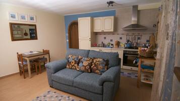 TV, fireplace, DVD player, books
