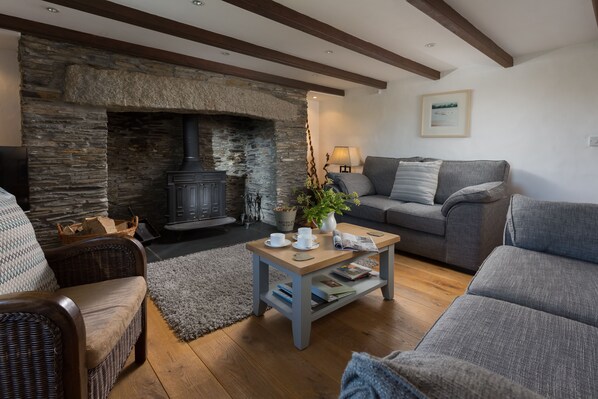TV, fireplace, DVD player, books - Luxury 5 star Farmhouse near padstow, wifi, fishing, bird hide, stunning views (Wadebridge)