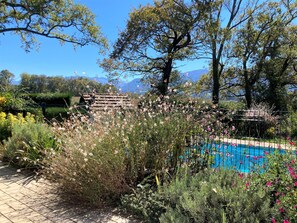 A garden with a swimming pool surrounded by various plants and trees. - Stunning views of the Pyrenees, large secluded garden & private heated pool (Ogeu-Les-Bains)