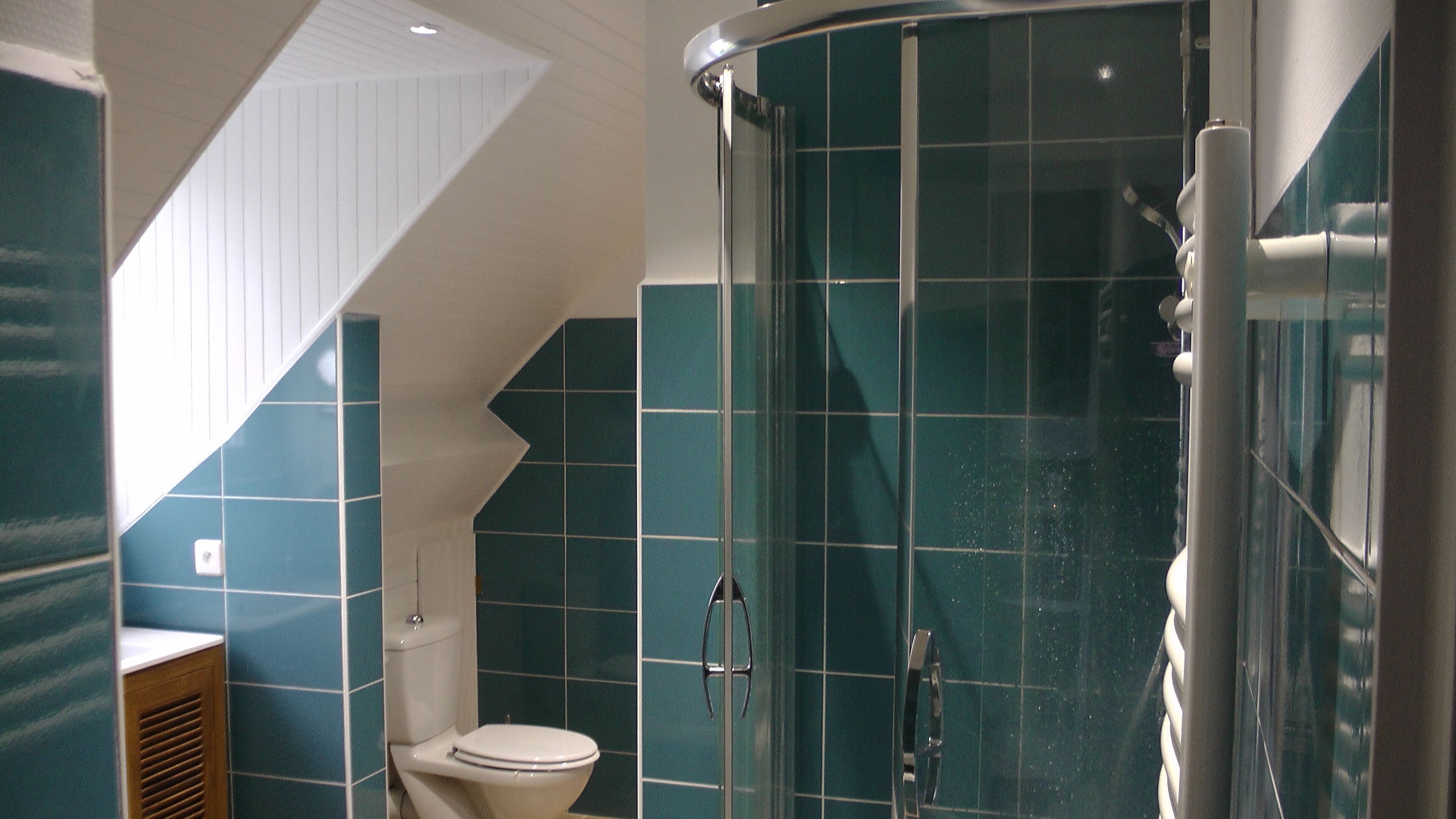 A bathroom with a glass-enclosed shower, a toilet, and a sink.