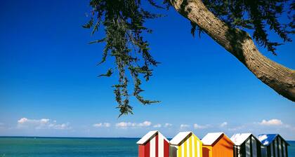 Front de mer sans vis à vis, vivez la carte postale de l'intérieur !