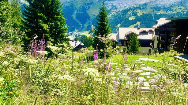 Property grounds - Ski Apartment With Spectacular Mountain View (Flaine Forêt) @flaine1969 (Arâches-La-Frasse)