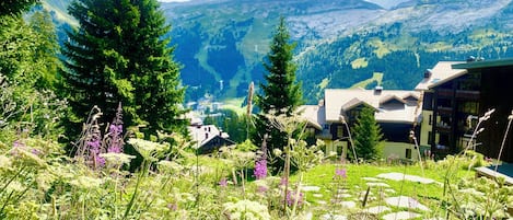 Área da propriedade