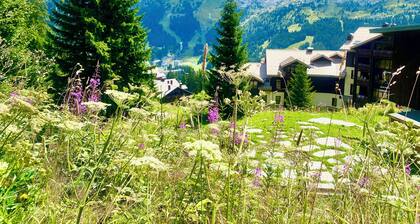 Appartement ski avec de spectaculaires Mountain View Ă Flaine