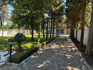 A paved pathway lined with trees and a hedge, leading to a building.