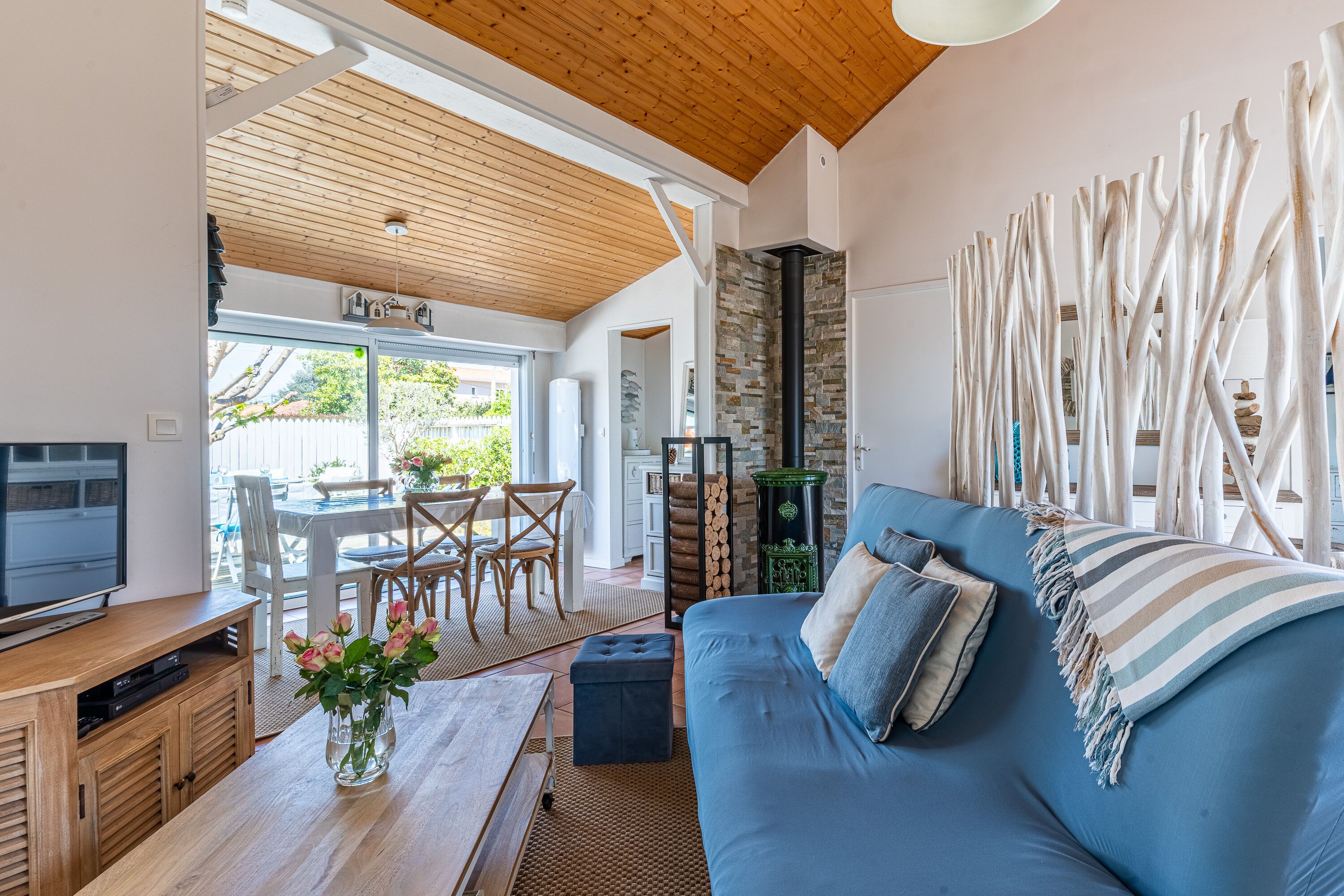 Televisie, een open haard, een dvd-speler en boeken