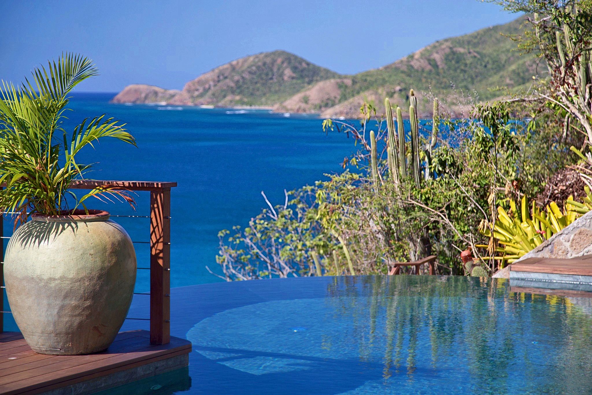 A pool with a view of the ocean and hills, a large potted plant, and a wooden deck.