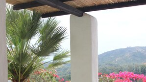 A covered outdoor area with a stone pathway, a palm tree, and a view of mountains and pink flowers in the background.