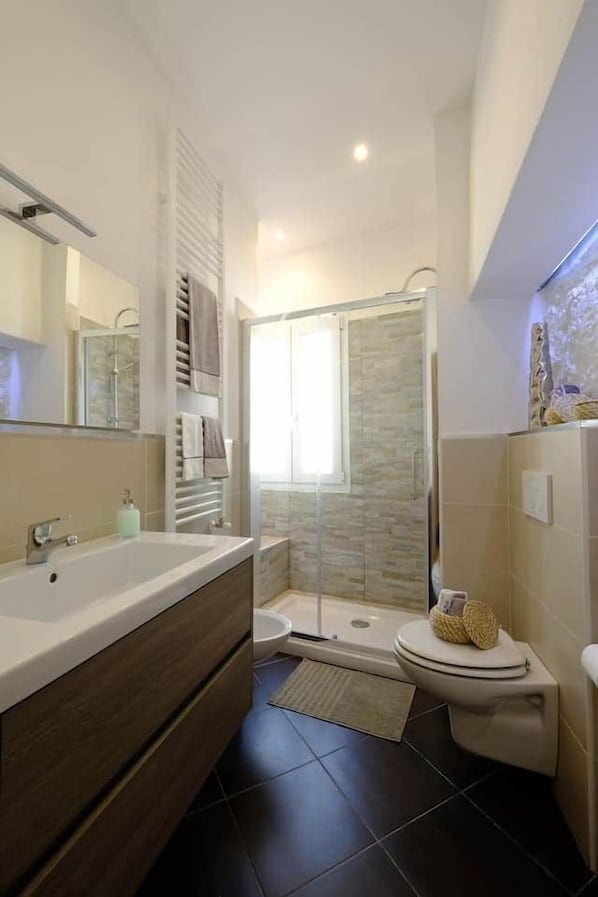 Shower, hair dryer, bidet, towels