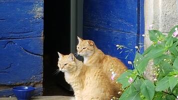 Enceinte de lâhĂ©bergement