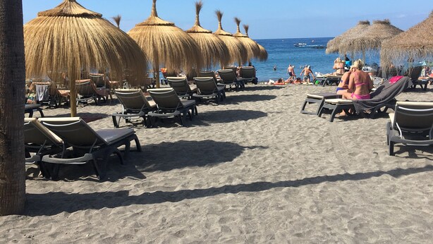 A beach with rows of sun loungers and thatched umbrellas.