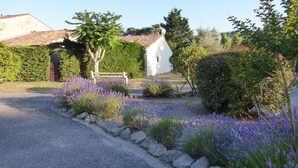 A rural setting with a gravel driveway, lavender fields, a white building with a red-tiled roof, and a wooden fence.