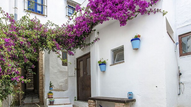 Un edificio blanco con puerta de madera, un banco pequeño y plantas en macetas.