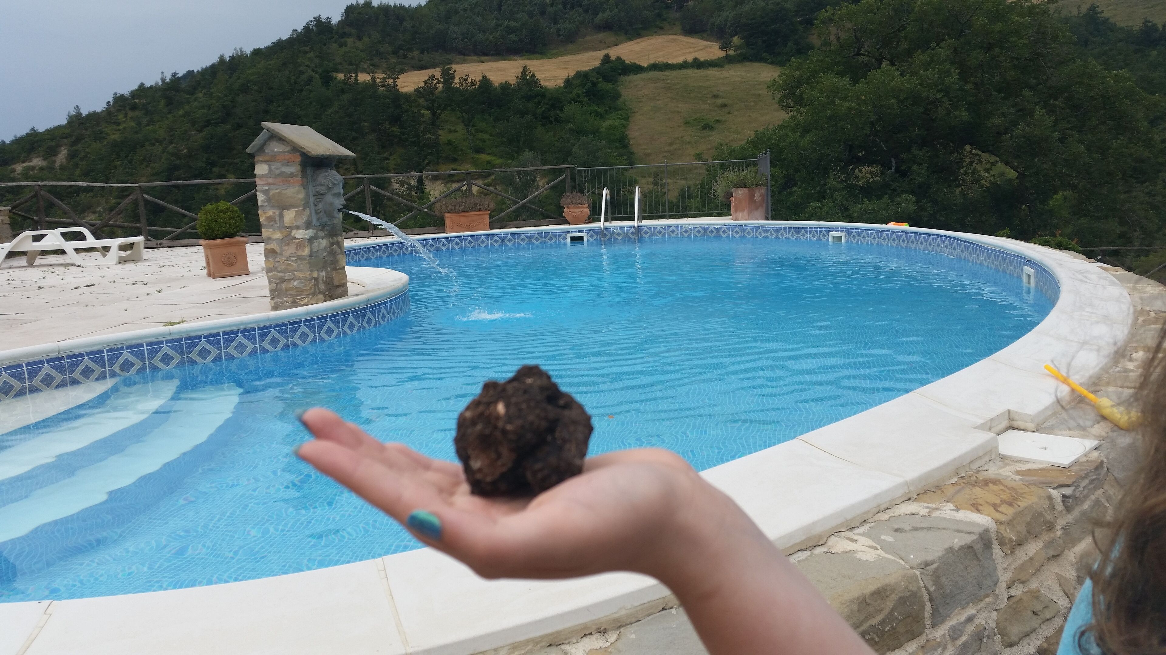 Fresh summer truffles by the pool!