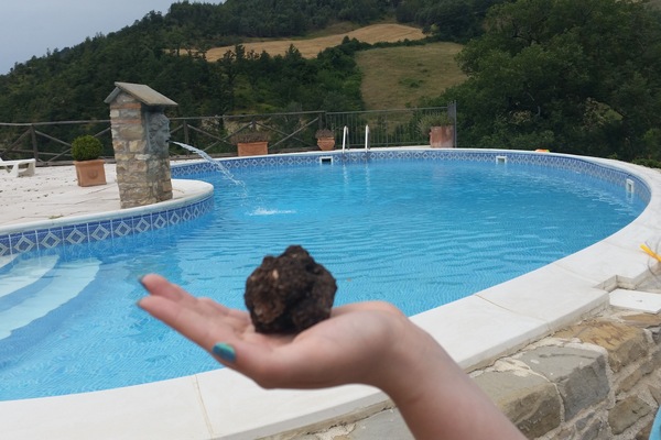 Fresh summer truffles by the pool!