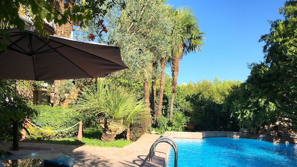 A pool area with a clear blue pool, surrounded by lush greenery and palm trees. - Villa With Private Pool And Jacuzzi (Bay of Kotor)