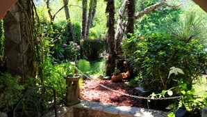 A garden with a stone wall, a metal bench, and various plants and trees. - Villa With Private Pool And Jacuzzi (Bay of Kotor)