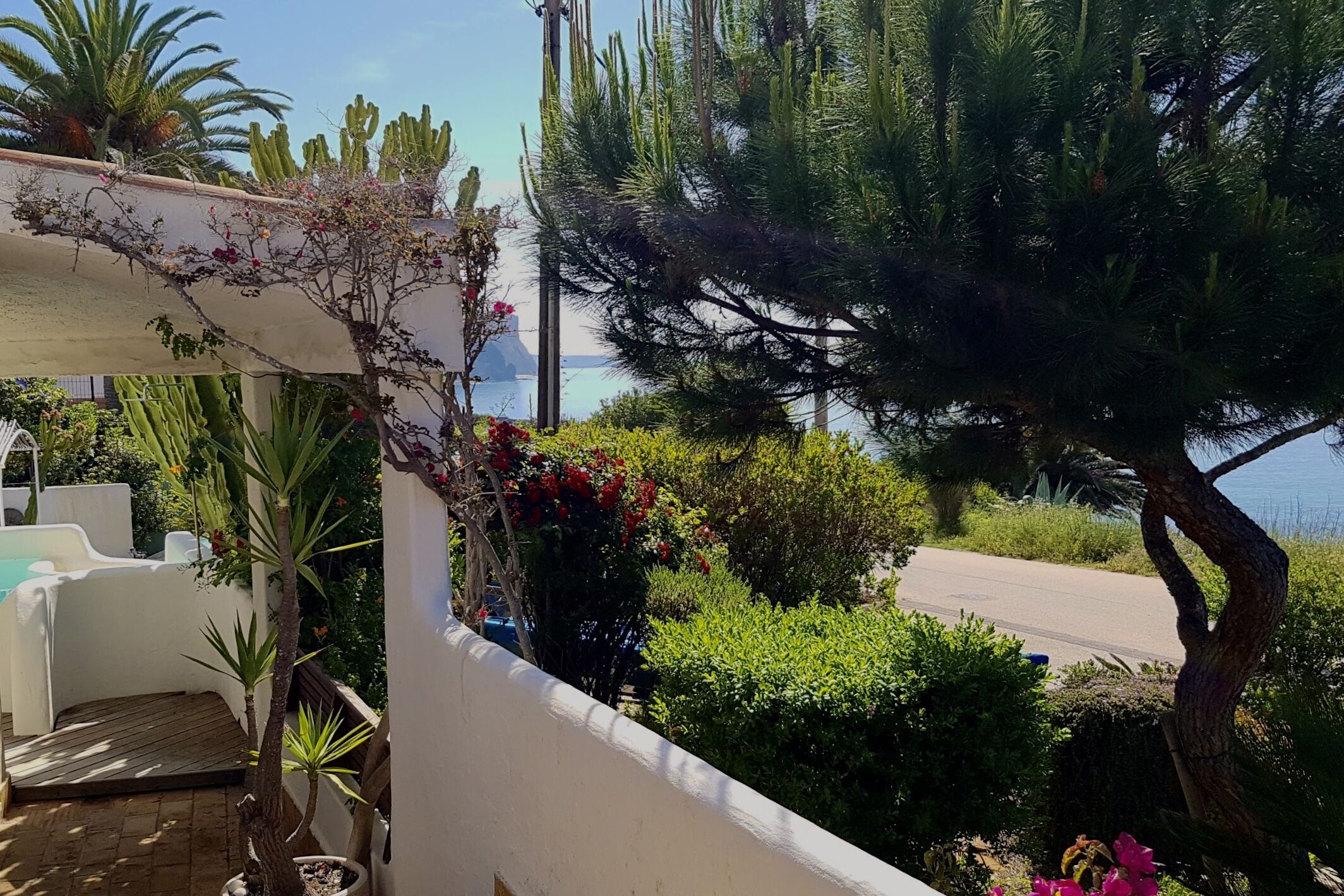 Un balcon donnant sur la mer, agrémenté de différentes plantes et bordé d’un mur blanc.