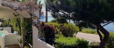 Un balcon donnant sur la mer, agrémenté de différentes plantes et bordé d’un mur blanc.