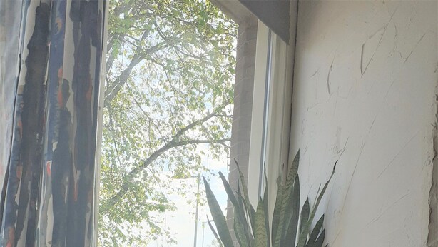 A room with a round wooden table, a white chair, a potted plant, and a window with a view of buildings and trees.