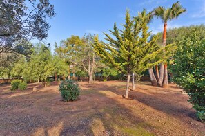 Terrain de l’hébergement 