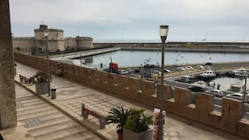 Vista desde la propiedad