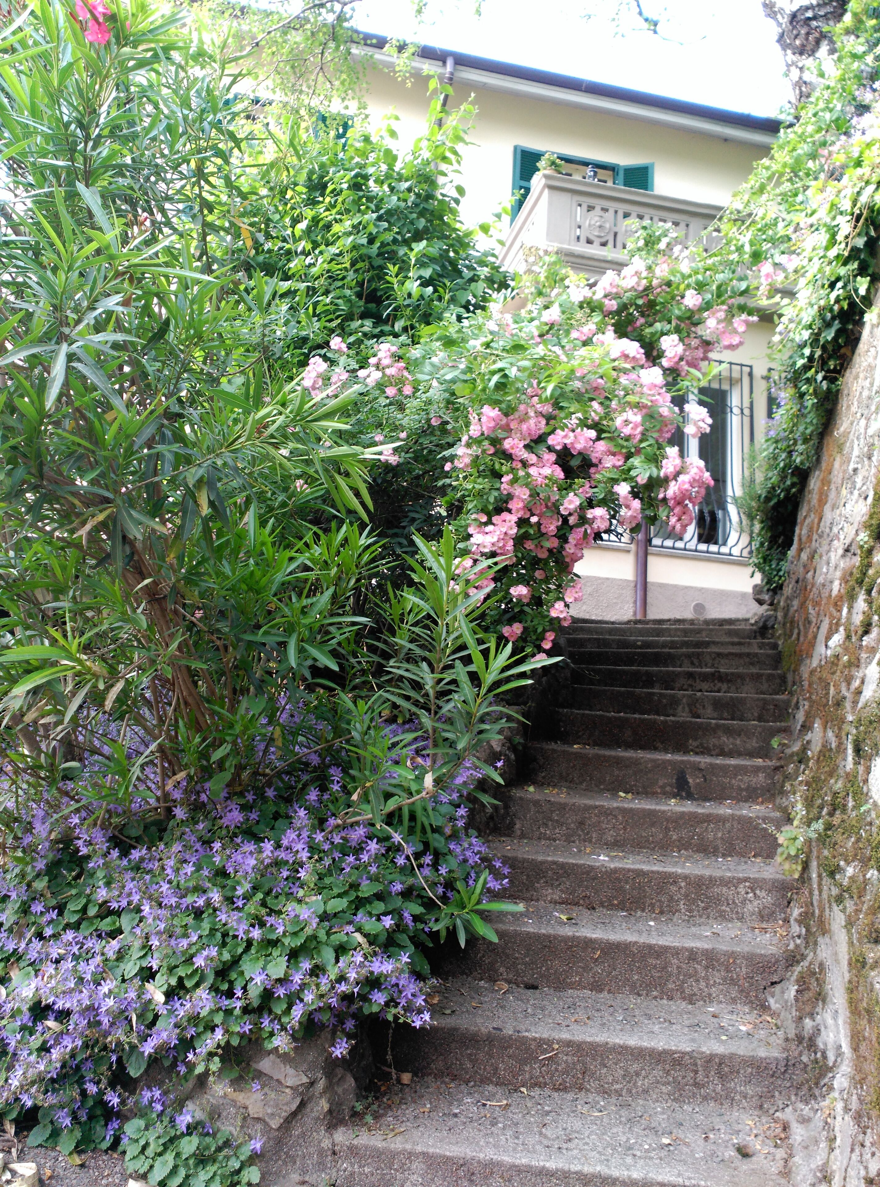 Detalhe da fachada