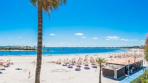 A beach with umbrellas and a palm tree. - Blue Lagoon Apartment, 10 m from the beach, 2 Swimmingpools, for 4 People (Alcúdia)