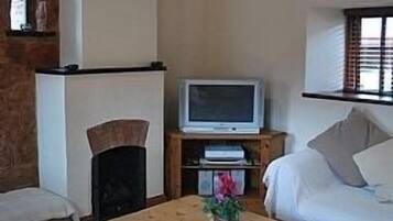 Smart TV, fireplace, books, stereo