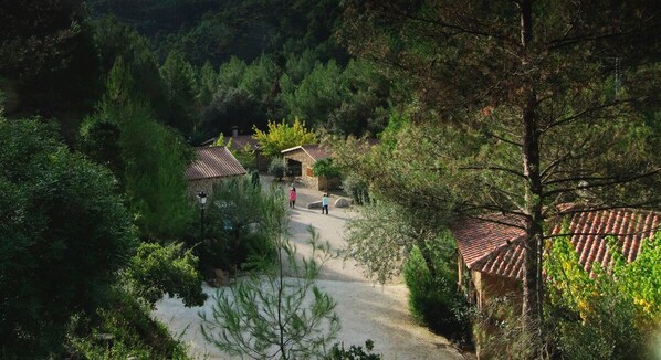 A rural village with traditional buildings and a dirt path. - Stone house nº4 for 2 people, Batan Rio Tus (Yeste)