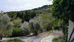 A stone pathway leading through a garden with various shrubs and trees. -  Pool Villa Perivoliou walking distance to 4 beaches, near Mamma Mia Church (Northern Sporades)