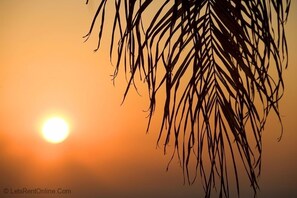 Unclassified image, 5 of 22, button