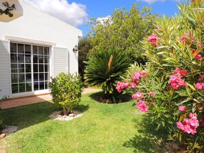 Stroll through the beautifully maintained garden, featuring a palm tree and vibrant flowering shrubs, leading to the building's entrance.