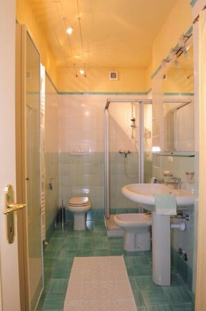 Combined shower/bathtub, hair dryer, bidet, towels