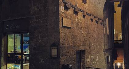 Wonderful apartment in Piazza del Campo, the center of Siena | Palazzo Giorgi