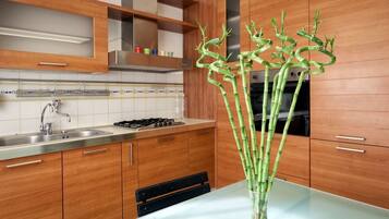 Frigorífico, microondas, horno y placa de cocina