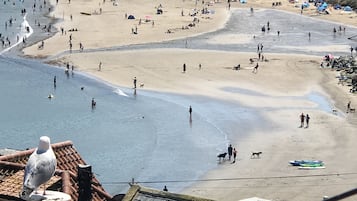 Beach nearby, sun-loungers