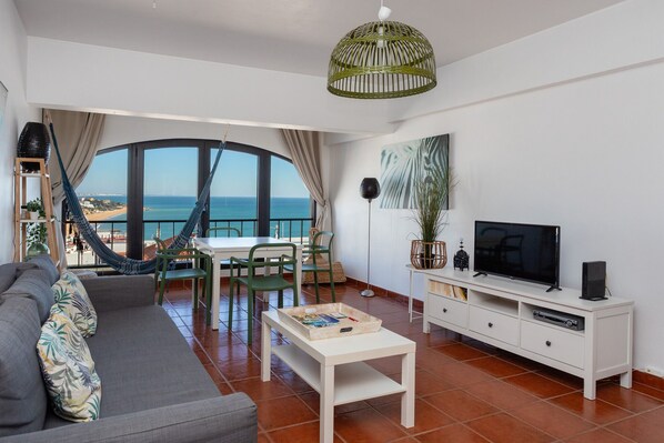 Smart TV, DVD player, books
