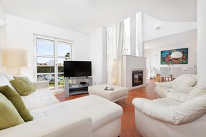 TV, fireplace, books