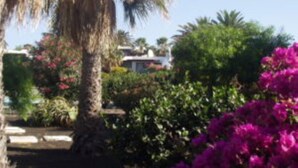 A garden with palm trees and flowering plants. - Villa 1A on the complex of Casas del Sol  (Playa Blanca)