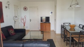 Smart-tv, Netflix, een dvd-speler en boeken