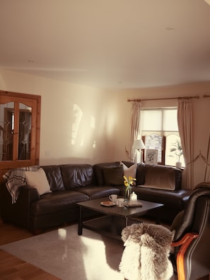 Smart TV, fireplace - Beautiful Countryside With A Spectacular View Of The Mountains (Killarney)