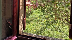 A view through a window with a wooden pergola and a garden with various plants and flowers. - Very good location! Character house with private access to the river  (Vitrac)