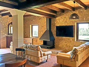 TV, fireplace, foosball, table tennis