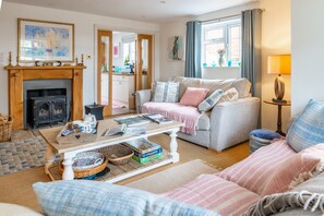 TV, fireplace, books