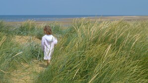 A person walking through tall grass towards a beach.