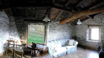 TV, fireplace, books
