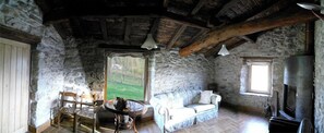 Televisión, chimenea, libros