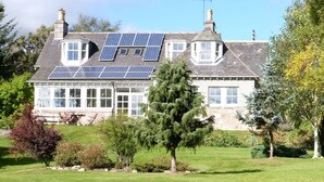 A house with solar panels on the roof, a large lawn, and a tree in the front yard.