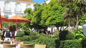 Un espacio exterior para comer con mobiliario de mimbre, mesas y sillas, rodeado de exuberante vegetación y un edificio blanco con balcones al fondo.